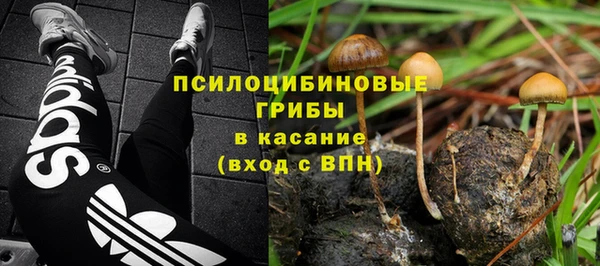 бошки Осташков