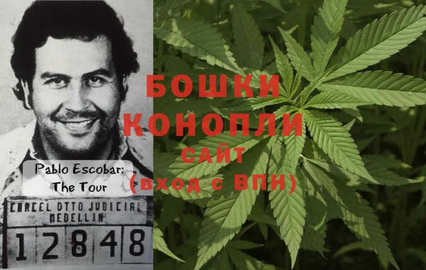 ПСИЛОЦИБИНОВЫЕ ГРИБЫ Алексин