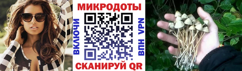 дарнет шоп  Опочка  Псилоцибиновые грибы Psilocybe 